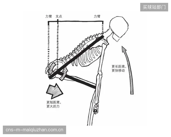 VAM作为衡量爬坡能力的核心指标，精确反映车手对抗重力的效率。